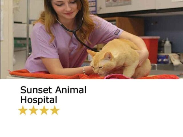 Sunset Animal Hospital